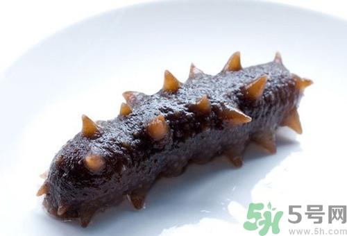 海参可以冷冻吗?海参冷冻能放多久 海参可以冷冻吗?海参冷冻能放多久