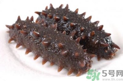 ​海参可以冷冻吗?海参冷冻能放多久