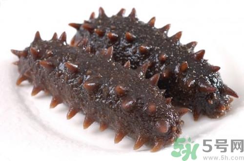 海参可以冷冻吗?海参冷冻能放多久 海参可以冷冻吗?海参冷冻能放多久