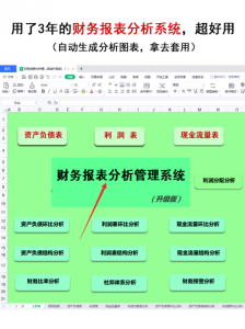 ​财务分析软件(为自己“偷懒”做的财务分析软件)