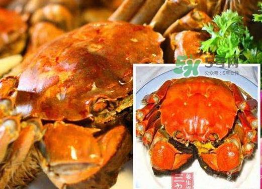 红印蟹怎么回事?红印蟹有什么不同? 红印蟹怎么回事?红印蟹有什么不同?