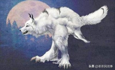 ​农村老人常说“狼狈为奸”，狈这种动物真存在吗？狼和狈啥关系？