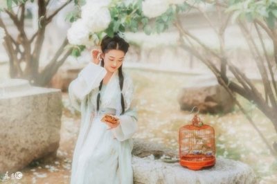 ​小说：国师长得好看，他负责貌美如花，打架这种粗鲁的事交给我来