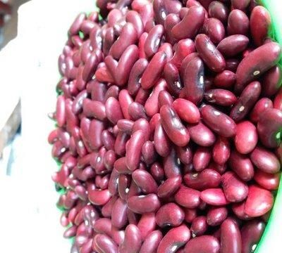 红豆草籽一公斤多少钱