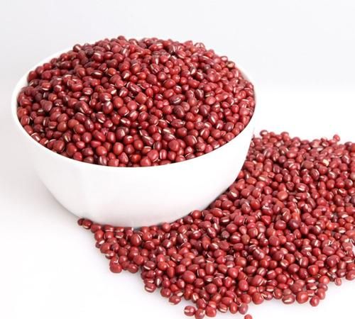 清风明月山河湖海什么意思