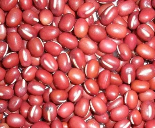 月饼成本怎么计算