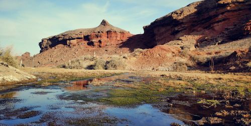 周口批发鱼在哪个位置