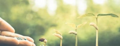 ​认干亲的属相禁忌 认干亲不良的后果