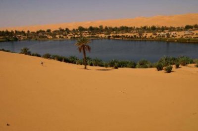 ​世界上居然真有永生不死的动物！