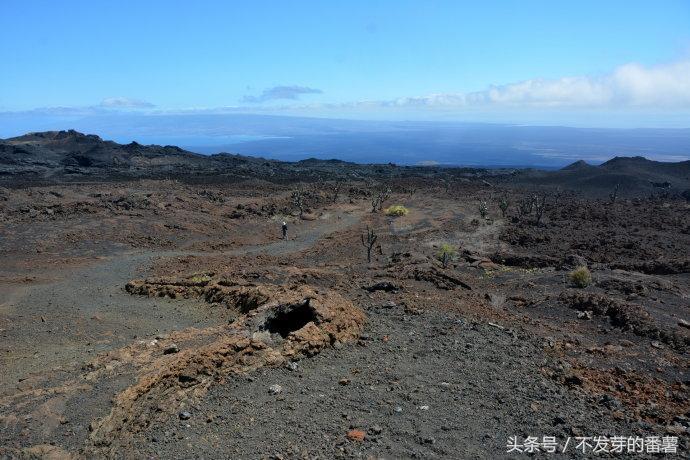 加拉帕戈斯群岛在哪个国家(加拉帕戈斯群岛在哪)