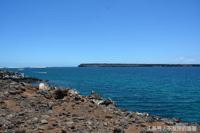 加拉帕戈斯群岛在哪个国家(加拉帕戈斯群岛在哪)