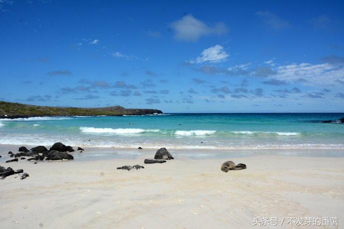 加拉帕戈斯群岛在哪个国家(加拉帕戈斯群岛在哪)