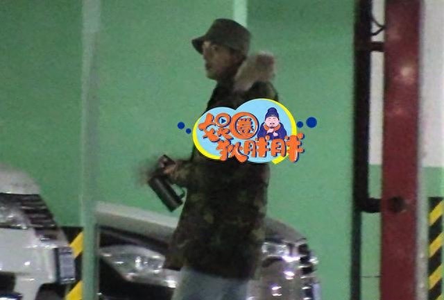 恋情更进一步?叶祖新张佳宁同回爱巢疑已同居