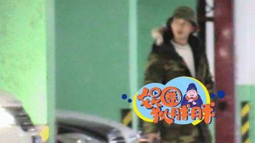 恋情更进一步?叶祖新张佳宁同回爱巢疑已同居