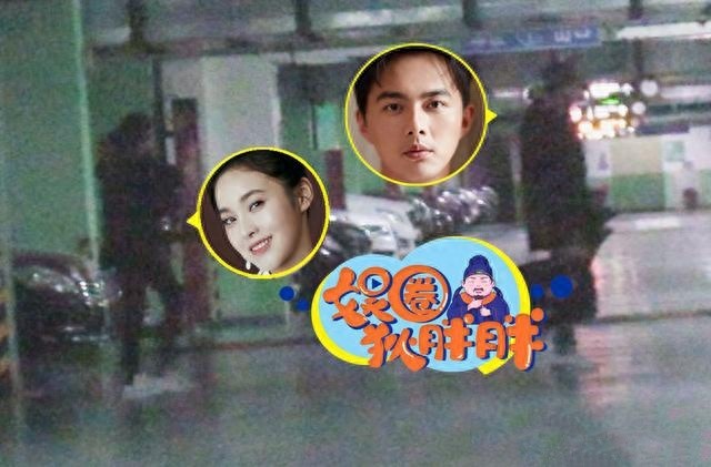 恋情更进一步?叶祖新张佳宁同回爱巢疑已同居