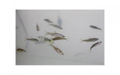 ​丈夫吵架后倒头就睡，妻子坐床边表情亮了，网友：这能睡得着？