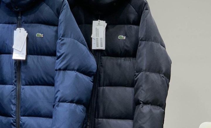 90鸭绒什么意思（快速了解什么是90鸭绒）