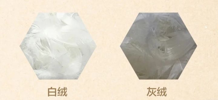 90鸭绒什么意思（快速了解什么是90鸭绒）