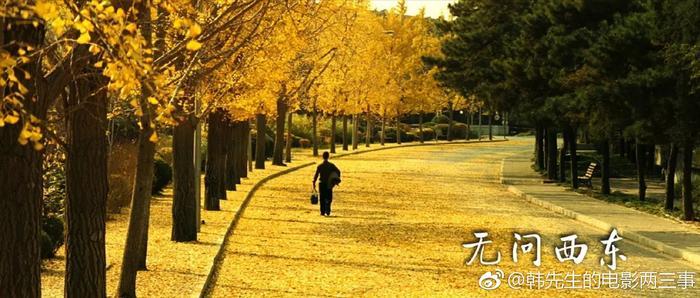 只问真心,《无问西东》