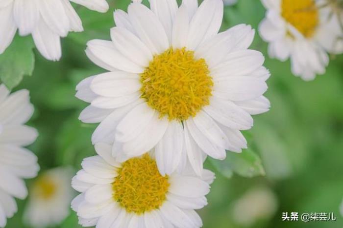 妻子坚持离婚还挽留吗（妻子认为找到真爱要离婚）