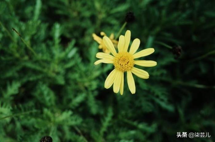 妻子坚持离婚还挽留吗（妻子认为找到真爱要离婚）