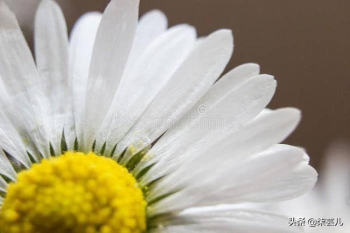 妻子坚持离婚还挽留吗（妻子认为找到真爱要离婚）