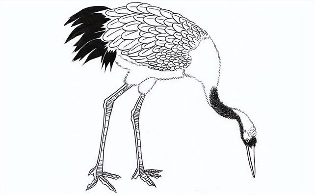 白描画简单易学（白描画技法）(3)