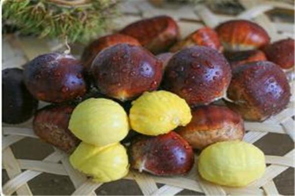 板栗可以和山药煲汤吗 板栗怎么吃好 板栗可以和山药煲汤吗 板栗怎么吃好