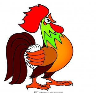 ​「原创」儿童故事：鸡，为什么不会飞