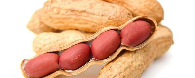 ​花生是什么植物