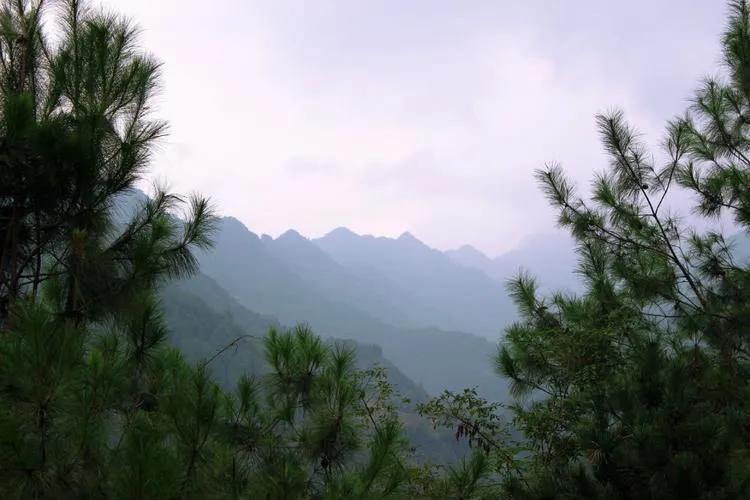 野望(王绩《野望》鉴赏)