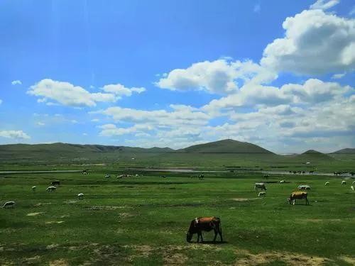 野望(王绩《野望》鉴赏)