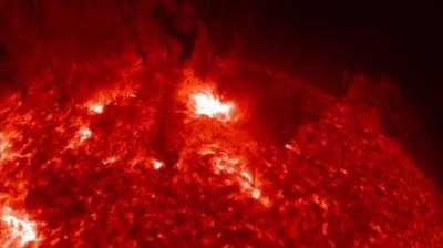 ​杭州护士吸血鬼病事件真相 真相 原来