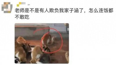 ​晚报推荐丨评论区刷屏的＂子涵＂是什么梗；真的有人会被笑死吗？