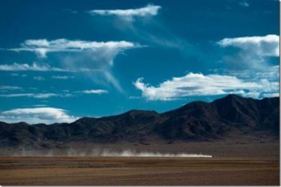 ​【专家推荐】保养好食材——食用菌 一