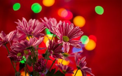 ​延安整风基本方针是什么（延安整风简单介绍）