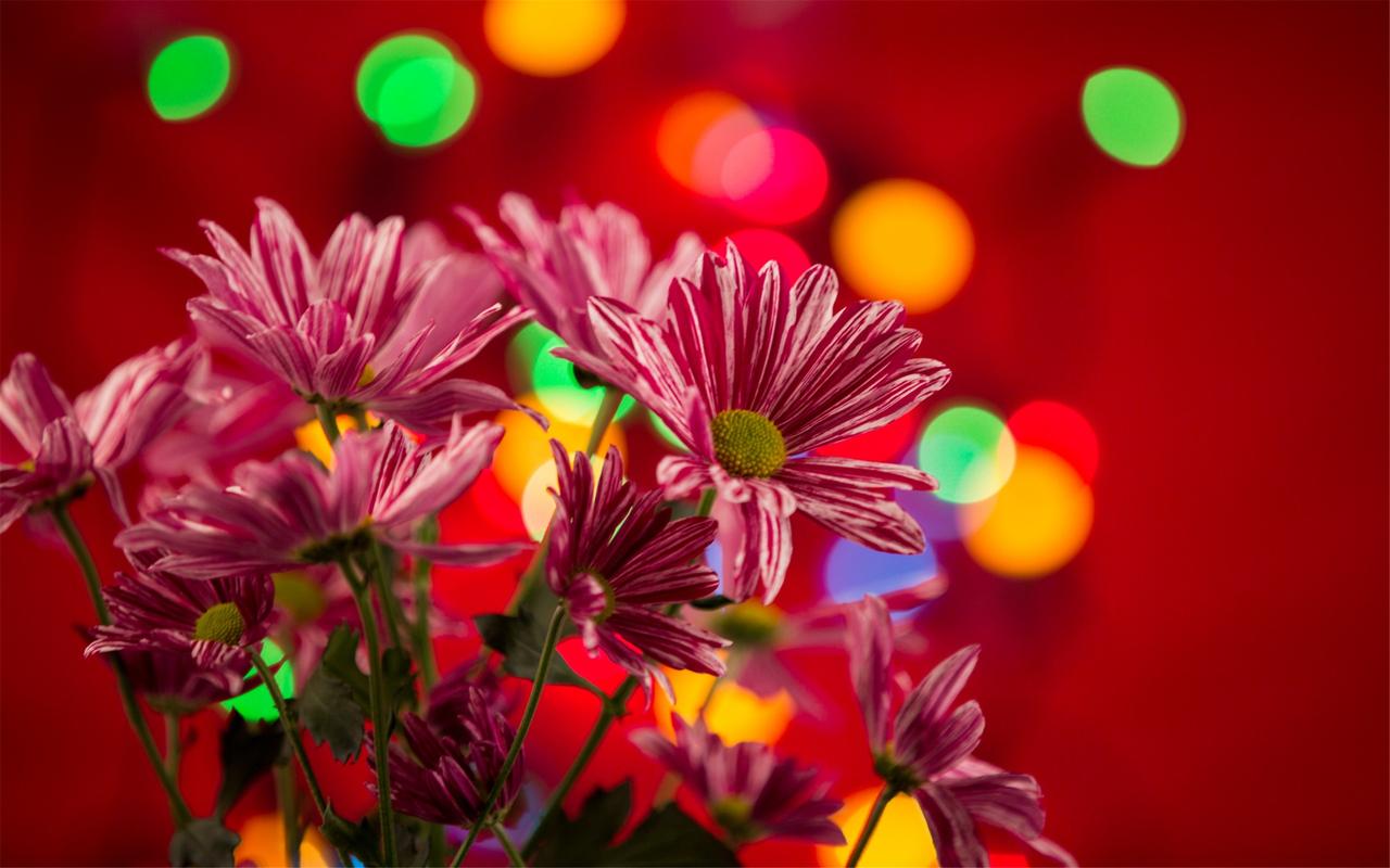 延安整风基本方针是什么(延安整风简单介绍)