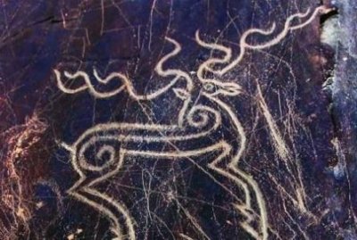 ​冬天种什么花好养又好看