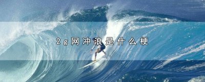 ​网络冲浪少年 2G网少年
