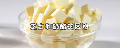 ​芝士和奶酪一样吗？它们有什么区别?