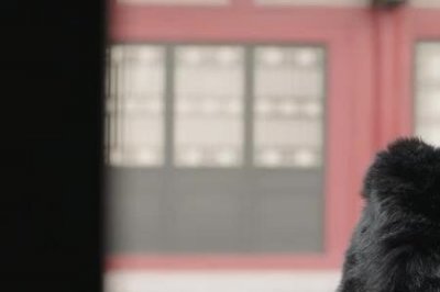 ​何驸马为什么告诉司马昭