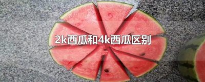 ​2k西瓜和4k西瓜区别