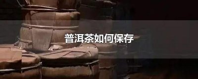 ​普洱茶如何保存