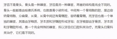 ​人身上最坚硬的部分