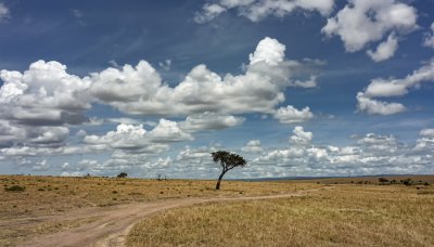 ​瓦坎达原型是哪国