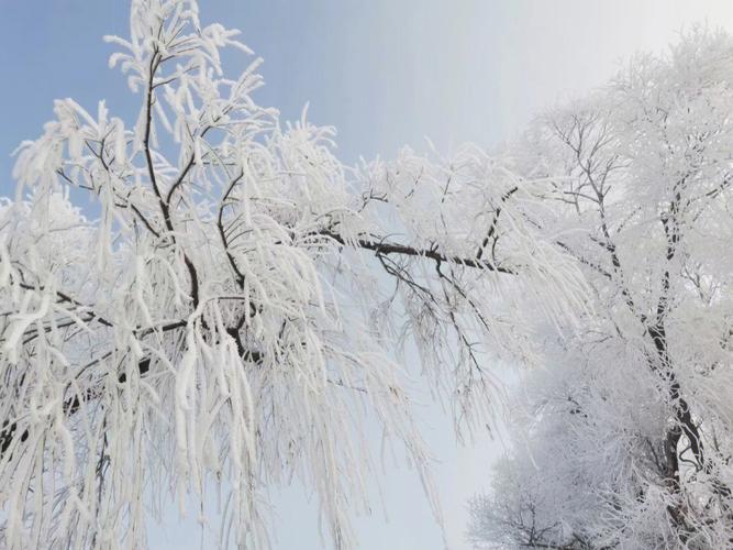 银装素裹什么意思（银装素裹讲解）