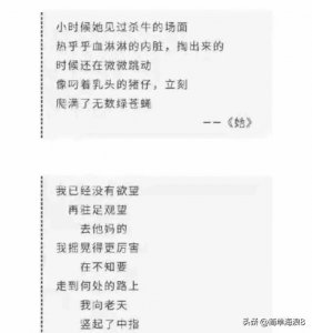 ​贾浅浅的诗完整版（贾浅浅的诗）