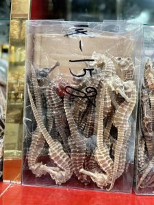 ​海马泡酒配方（海马泡酒的方法）