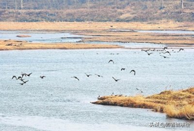 ​为什么漯河市值得大力发展？