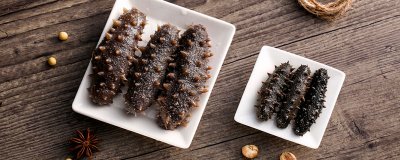 ​辽参和海参的具体区别